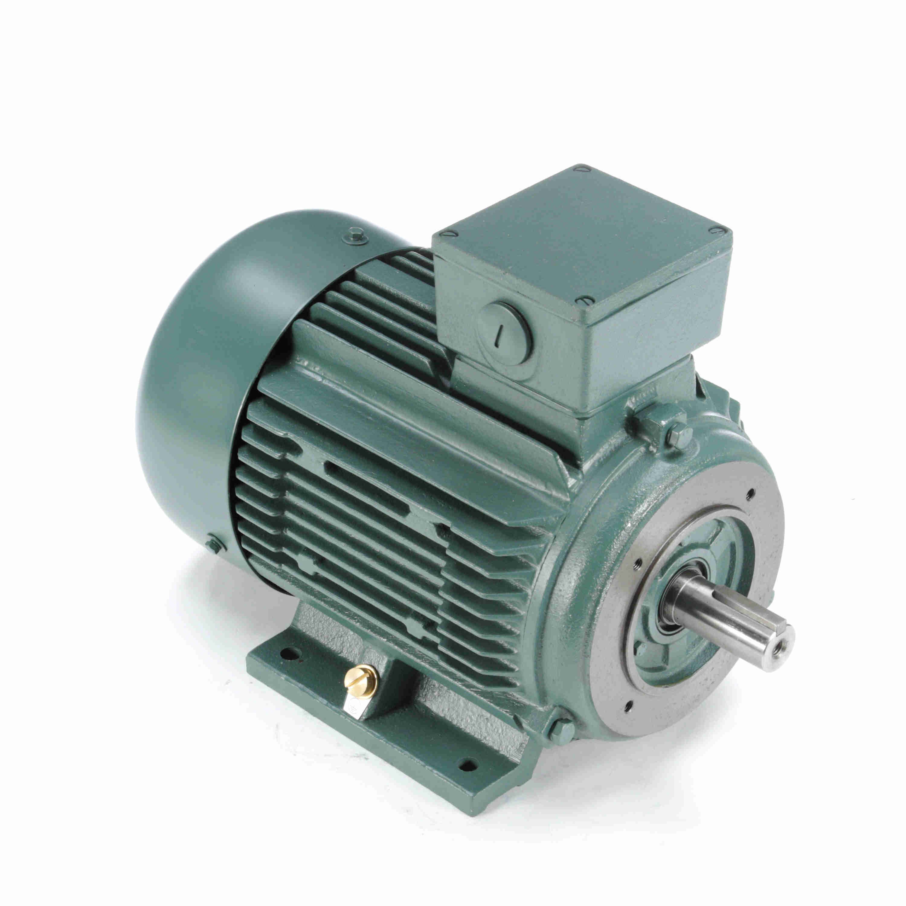 LEESON 193372.60 C160T11FZ43A Metric Motor 50-60 Hertz | AJ2TWK C160T11FZ43A