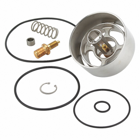 LEONARD VALVE KIT R/LV984