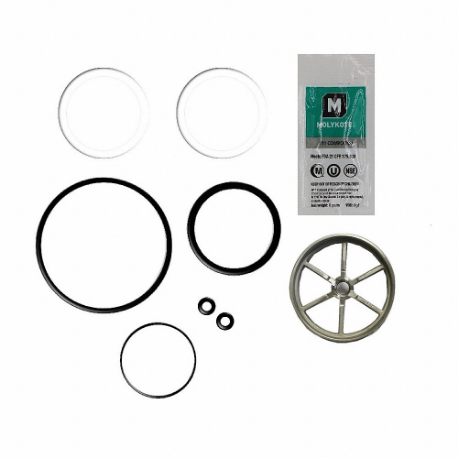 LEONARD VALVE KIT R/PNV1