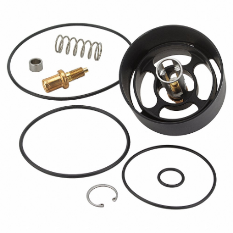 LEONARD VALVE KIT R/XL150