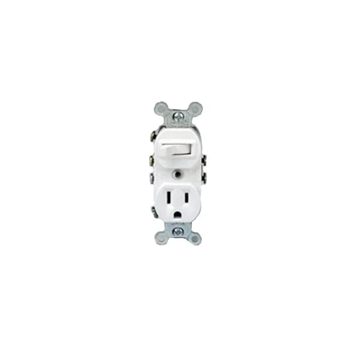Duplex Grounding Combination Switch, 12 A/1/2 HP at 120 VAC/15 A at 120 VAC, 1 Pole