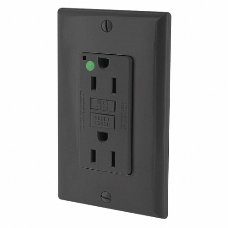 LEVITON GFNT1-HGE GFI Receptacle, Decorator Duplex, 5-15R, 15 A, 125 VAC, Black, 2 Poles, Screw Terminals | CR9HLR 792UE1