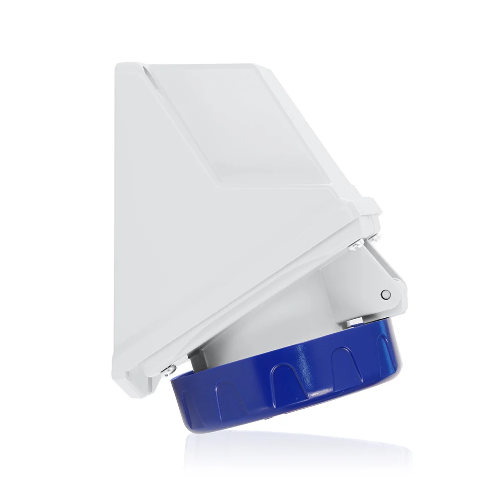 Dust/Watertight Pin and Sleeve Receptacle, 200/250 VAC, 32 A, 2 Poles, 3 Wires, Blue, 6-Clock Position