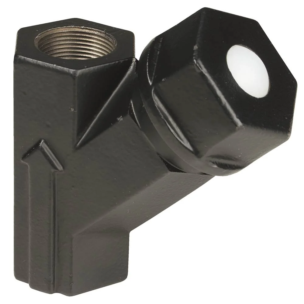 Anti Siphon Check Valve, 1-1/4 Inch Size, 125 PSI, Female Threaded Connection, Cast Iron