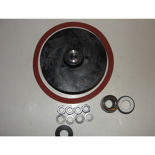 LITTLE GIANT PUMPS 305446924