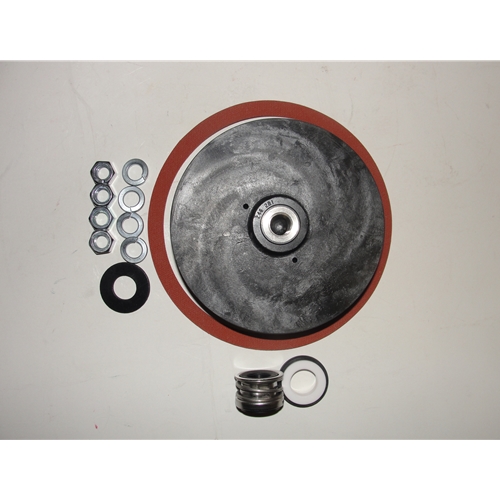 LITTLE GIANT PUMPS 305446925