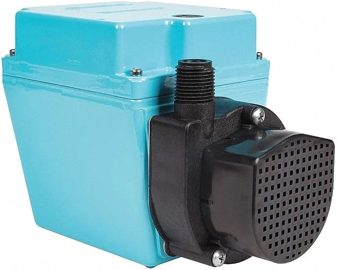 LITTLE GIANT PUMPS 504186 Submersible Pump, 1/12 Hp, 115V, 1 Ph, Cord 6 Feet Length | BR9PDV