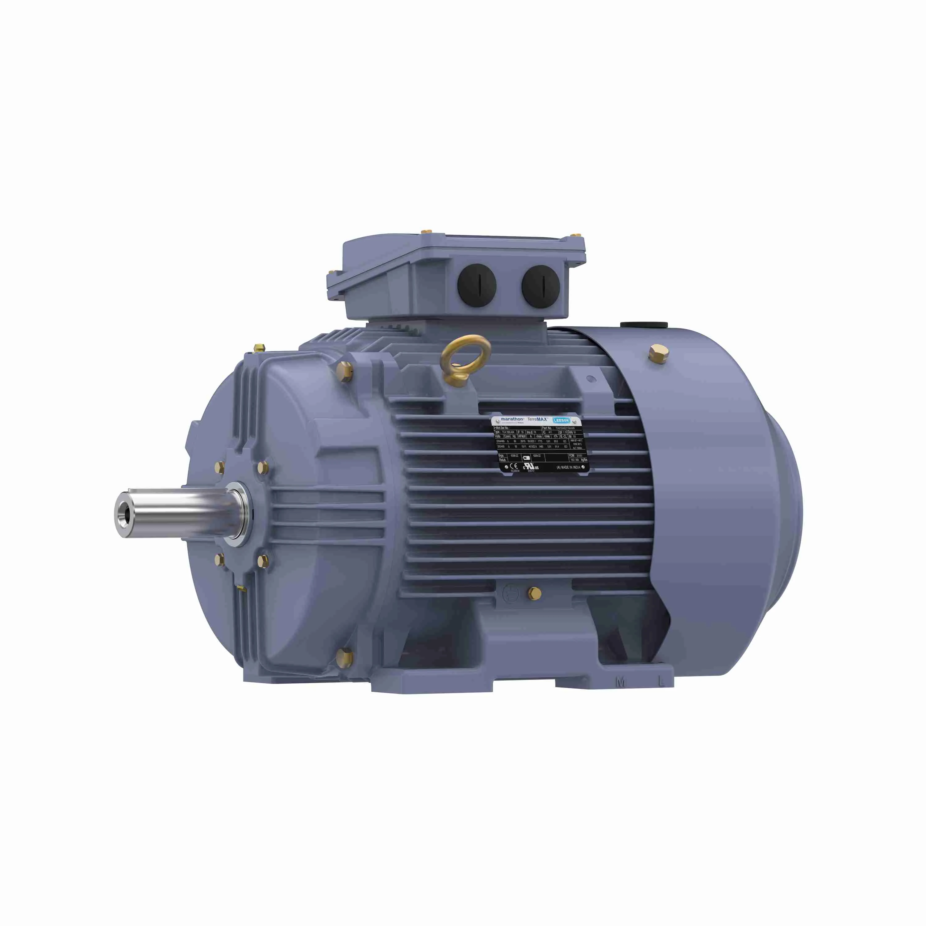 MARATHON MOTORS TCA7P53AE211GAA009 General Purpose Motor, 10 hp, 3 Phase, 1180 Rpm, 230/460VAC, 160M Frame | CH6RUD 55AY99