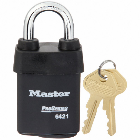 MASTER LOCK 6421WO