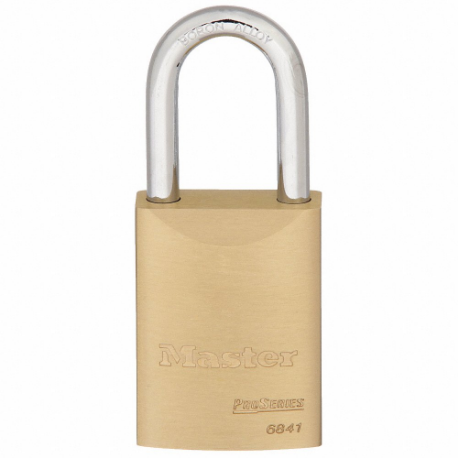 MASTER LOCK 6841LFWO