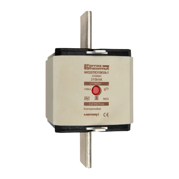 MERSEN FERRAZ D1030541A