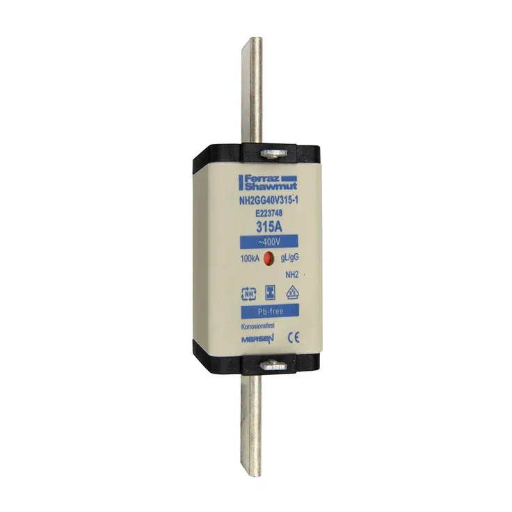 MERSEN FERRAZ E223748