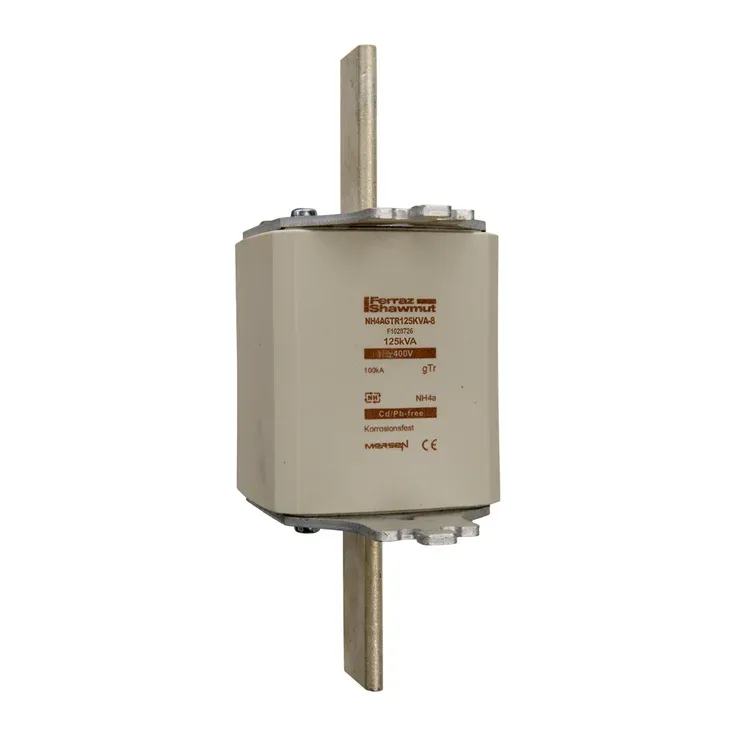 MERSEN FERRAZ F1028726