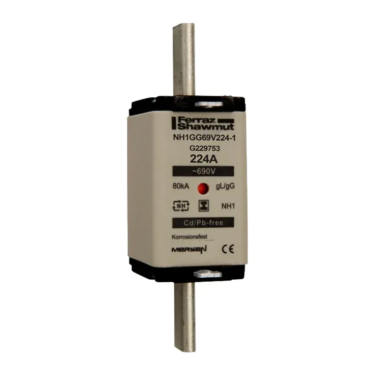 MERSEN FERRAZ G229753