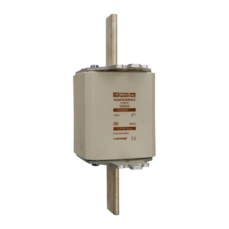 MERSEN FERRAZ H1028728