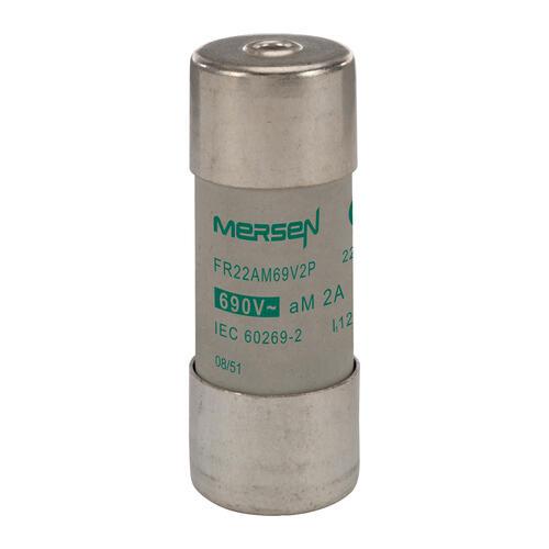 MERSEN FERRAZ J216162 Ferrule Fuse Link, 690V | CH4ZBM FR22AM69V2P