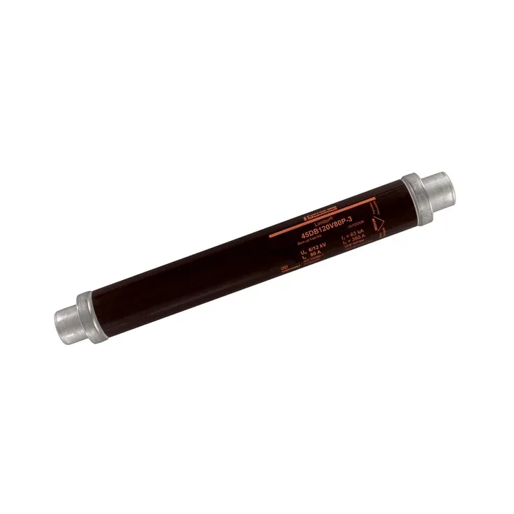 MERSEN FERRAZ P1006102