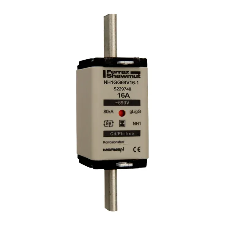 MERSEN FERRAZ S229740