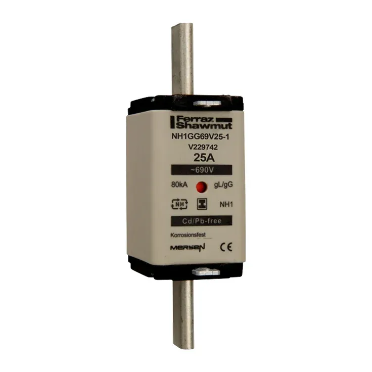 MERSEN FERRAZ V229742