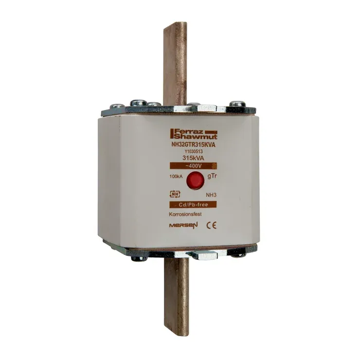 MERSEN FERRAZ Y1030513A