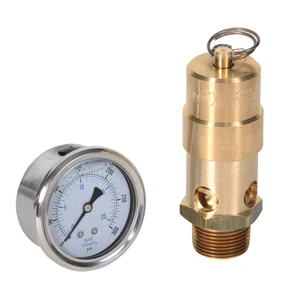 MIDWEST CONTROL Pneumatic Safety Valves