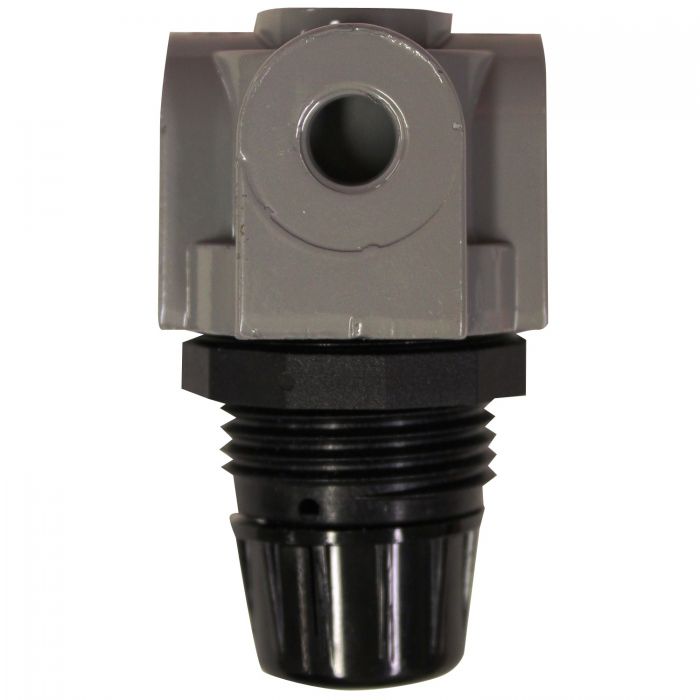 Mini Heavy Duty Regulator, 1/4 Inch NPT