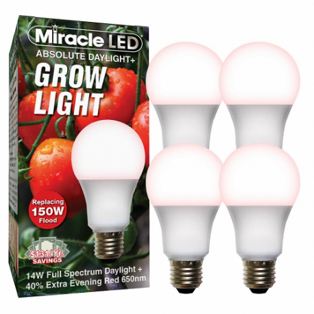 MIRACLE LED 601815