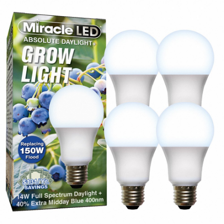 MIRACLE LED 601817