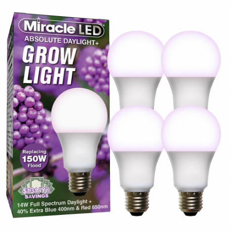 MIRACLE LED 601819