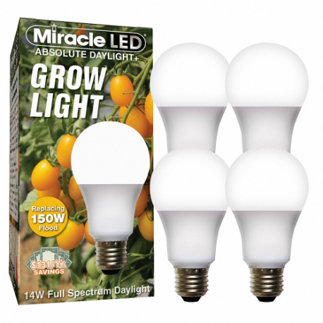 MIRACLE LED 601821
