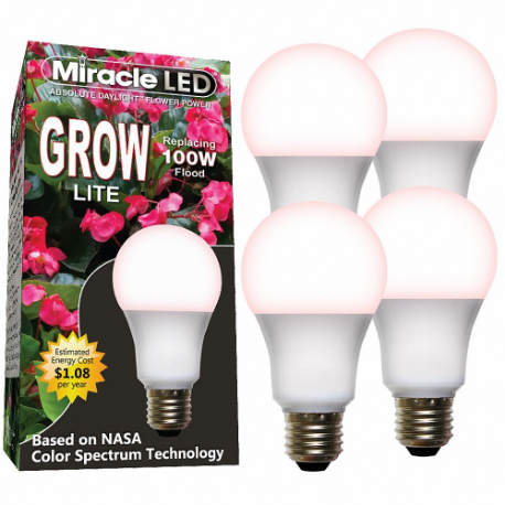 MIRACLE LED 601829