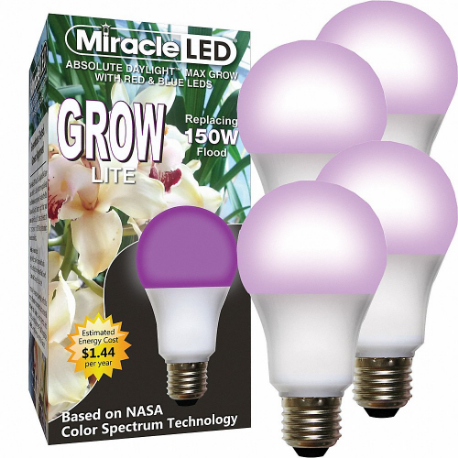 MIRACLE LED 602130