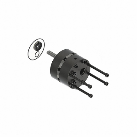 MONARCH 500246312485270