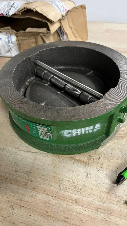 Check Valve, Class 125, Cast Iron