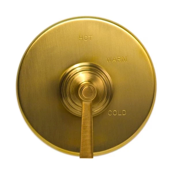 Shower Trim Plate W/ Handle. Less Showerhead, Arm And Flange, Gold