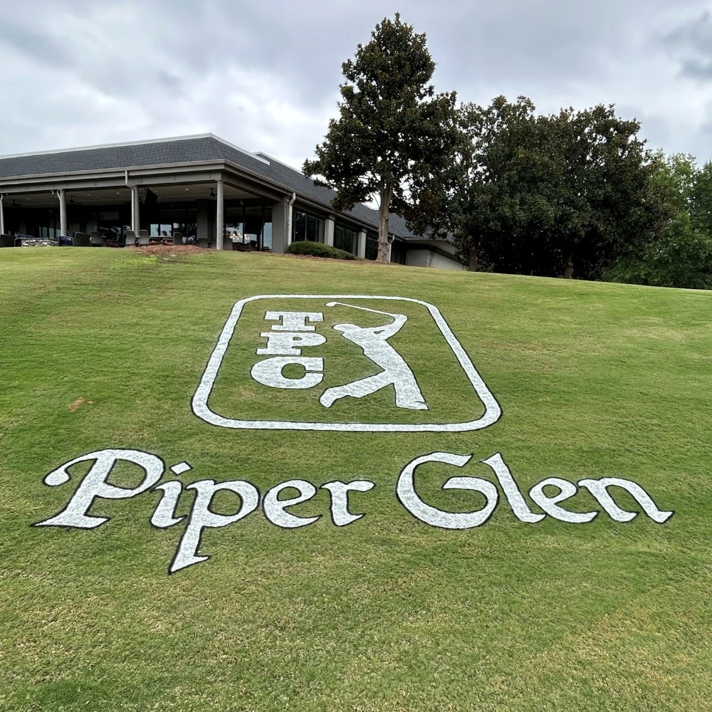 NEWSTRIPE 10004413 2