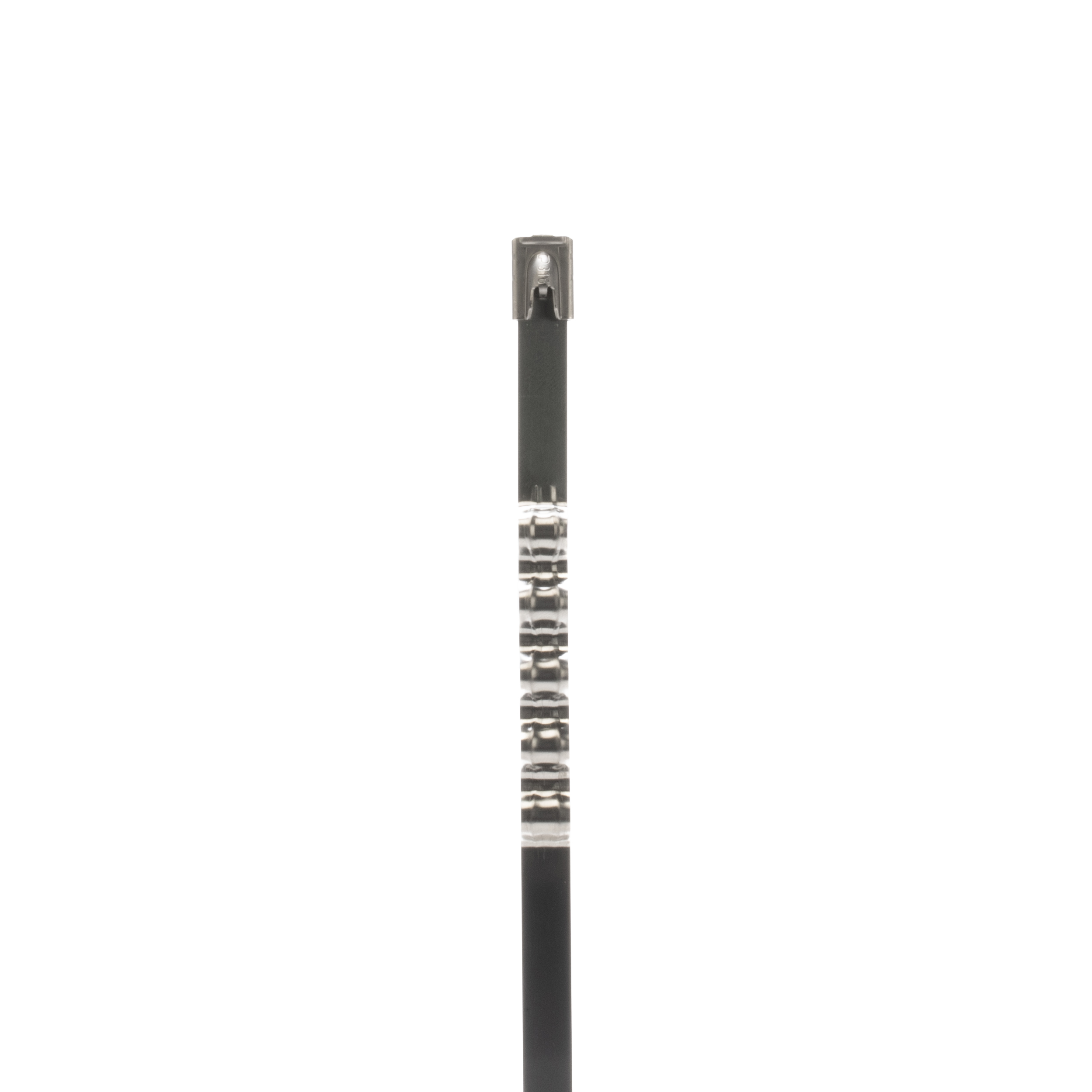 PANDUIT MLT4WH-TL316