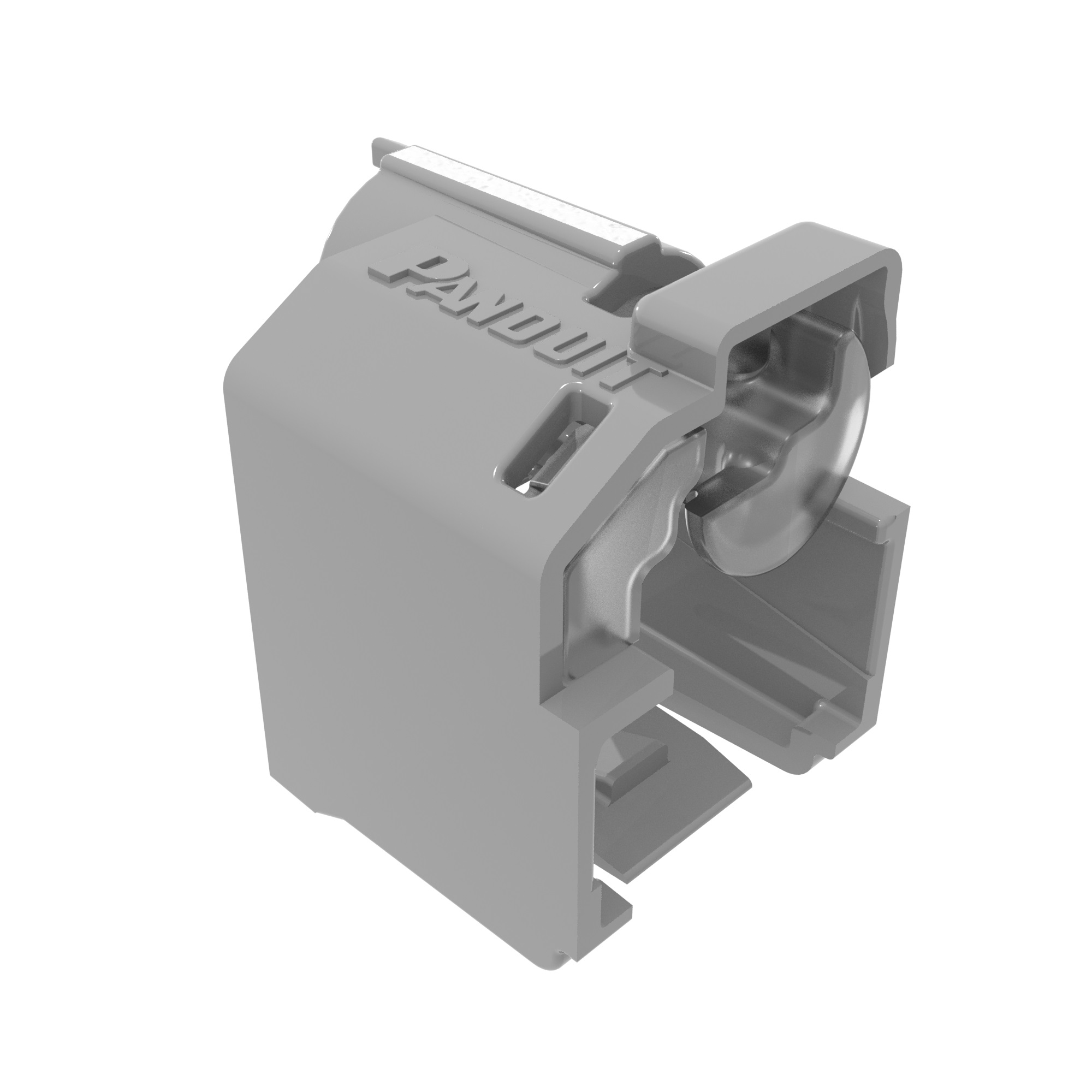 RJ-45 Lock-In Device, Polycarbonate, Gray, 100 Devices, 5 Keys