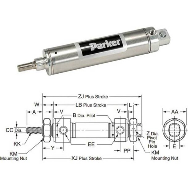 PARKER 0.75DXPSR03.06