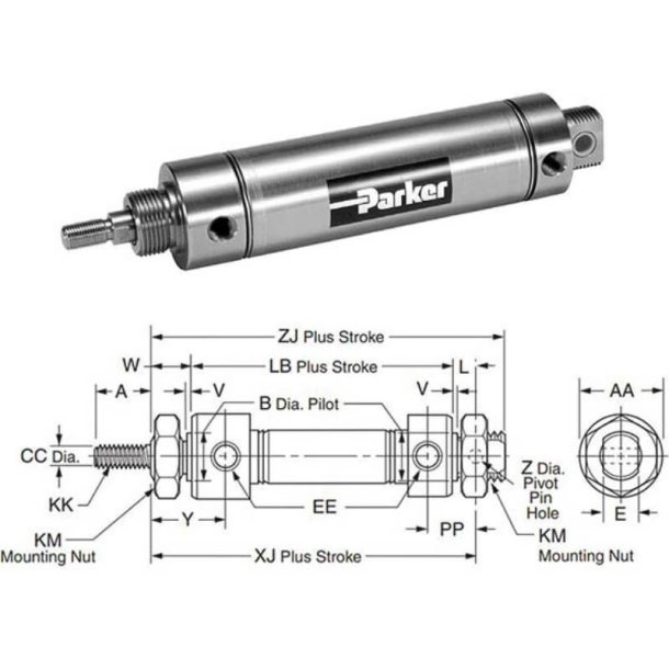 PARKER 0.75DXPSRGY04.00