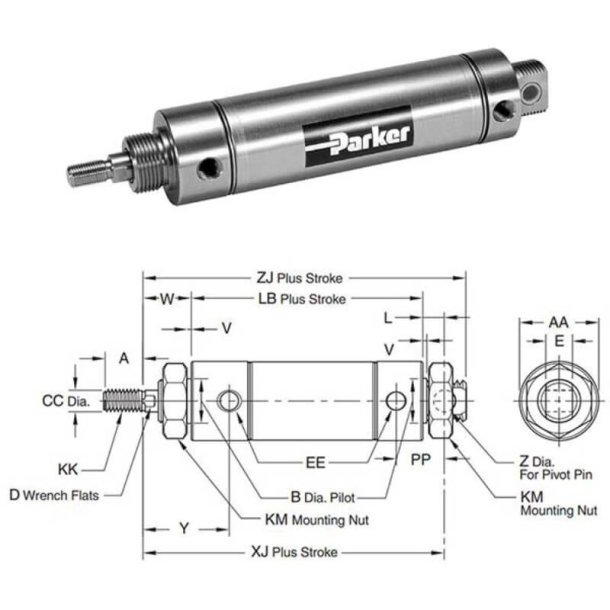 PARKER 2.50DXPSRGMY03.00