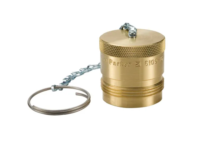 PARKER 6109-08 PARKER 6109-08 | BX4ERE