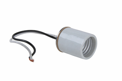 PASS AND SEYMOUR 10085