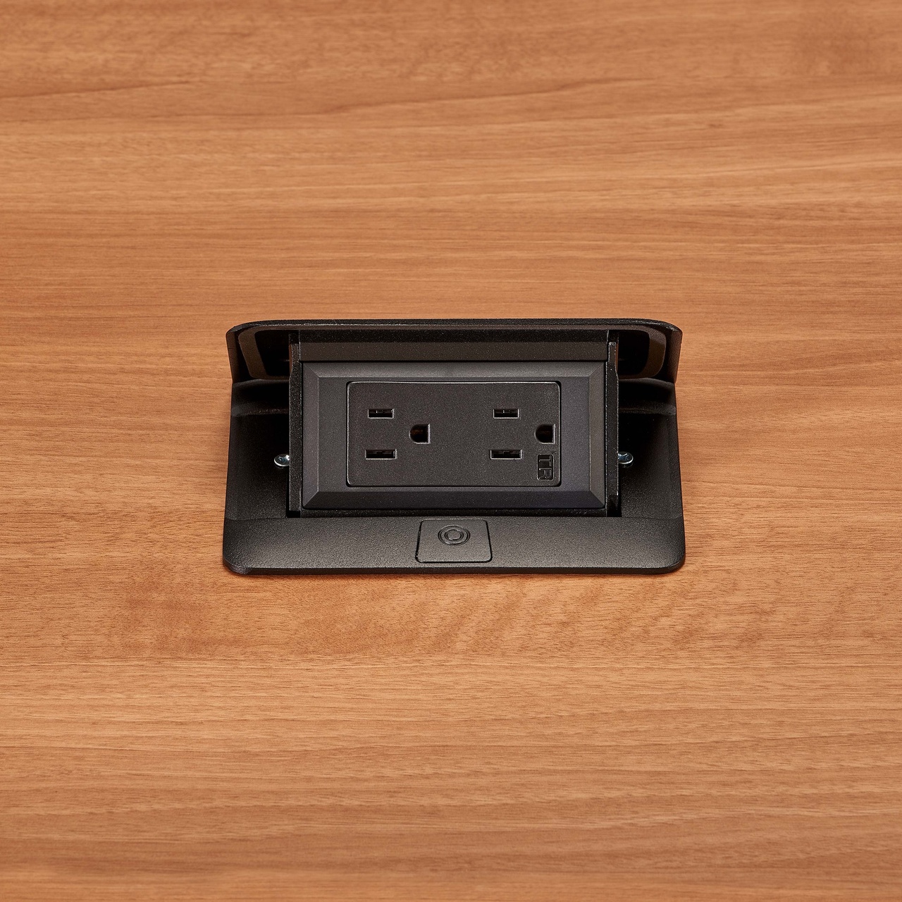 PASS AND SEYMOUR DQFP20BK