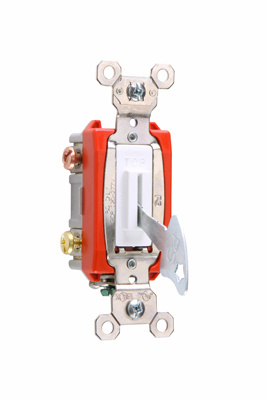 PASS AND SEYMOUR PS20AC2-IL Lock Switch, 120V, Double Pole, Ivory | CH4EDL