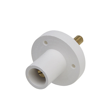 PASS AND SEYMOUR PSMMRSW