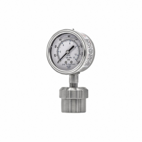 PIC GAUGES 301L254F/0JJJ100