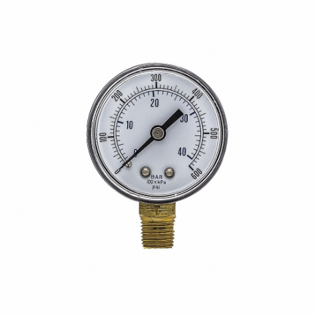 PIC GAUGES SEP-101D-204K-BSPT