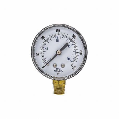 PIC GAUGES SEP-101D-254H-BSPT
