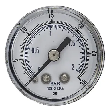 PIC GAUGES SEP-102D-158C-BSPT